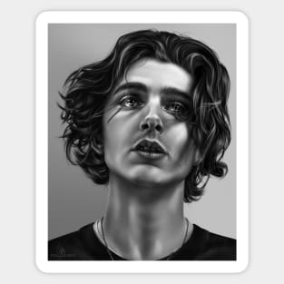 TChalamet Sticker